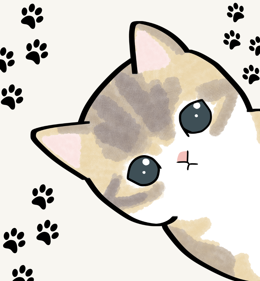Sterilisasi Kucing