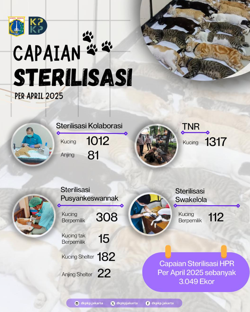 Capaian-Sterilisasi-Per-April-2025