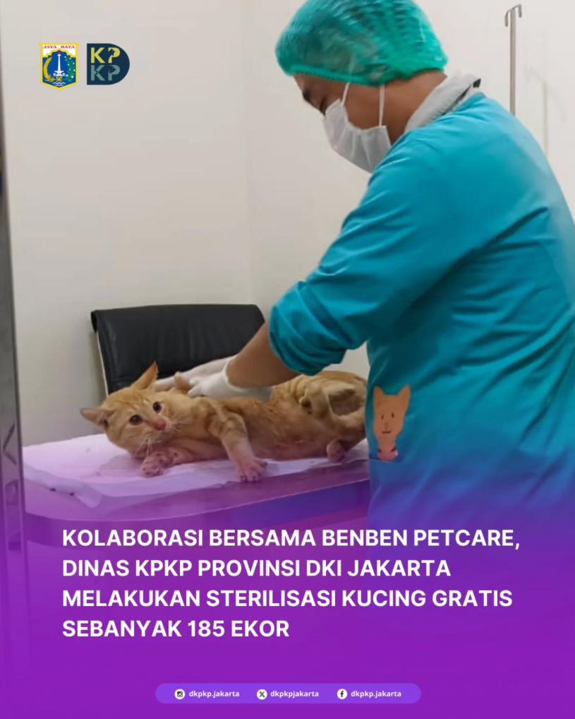 Pelayanan-sterilisasi-kucing-gratis-185-ekor