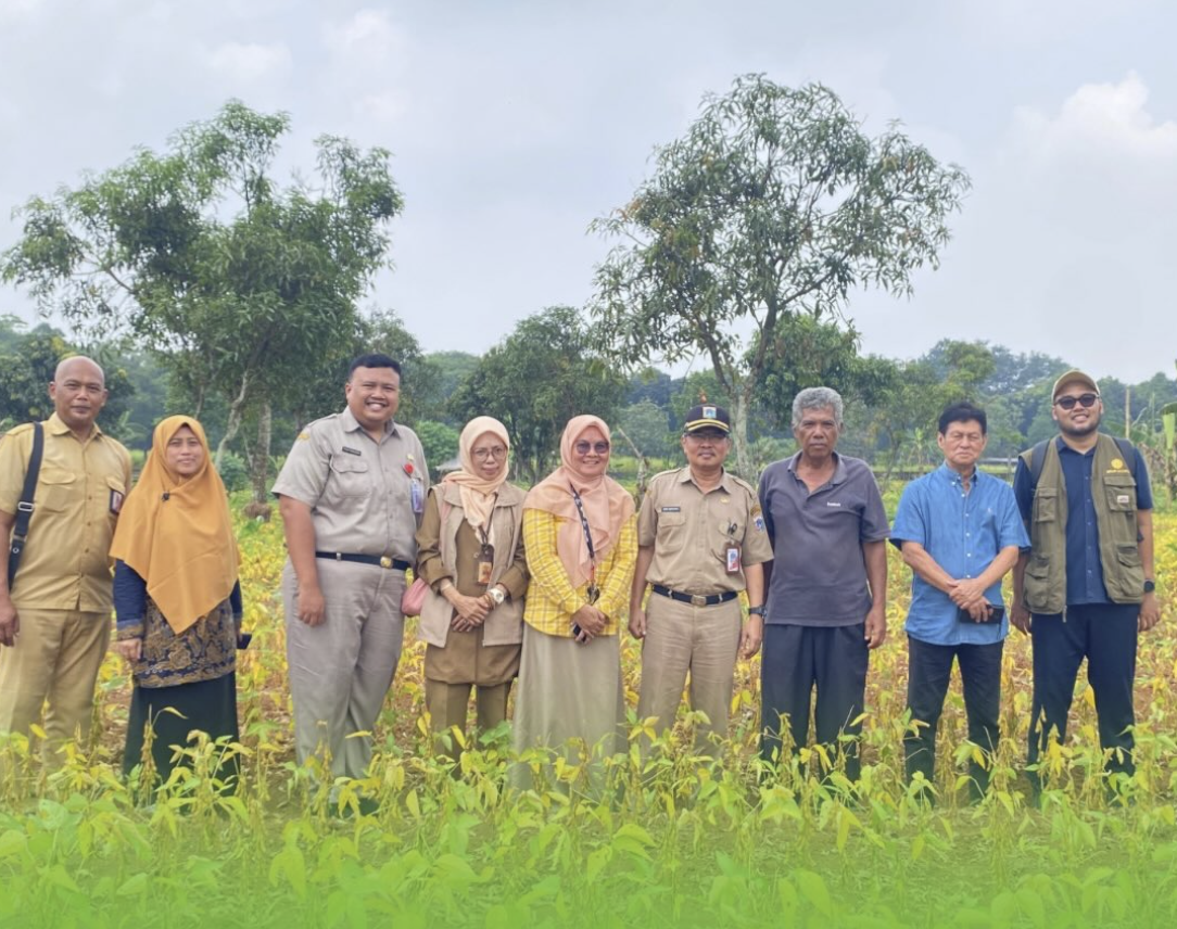 dinas-kpkp-dki-jakarta-lakukan-monitoring-lahan-penanaman-kedelai-di-buperta