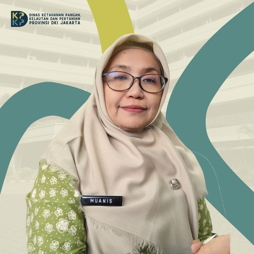 Muanis Nur Aeni